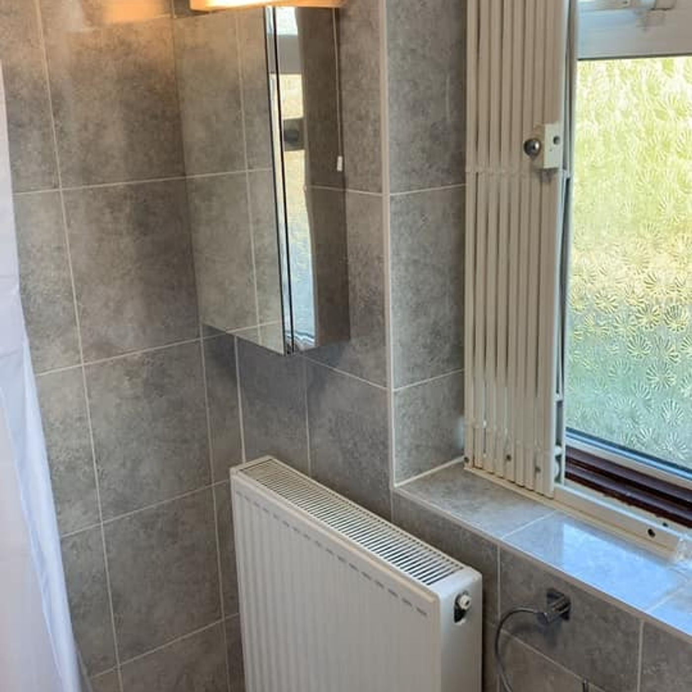 Bathroom Adaptation — Ribchester Ave, Greenford